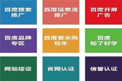 百度SEO推广公司案例精选：揭秘优化策略